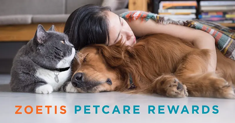 Zoetis Petcare Rewards Hodes Veterinary Health Center